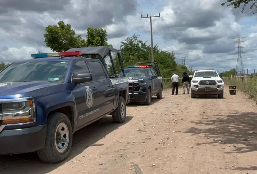 Localizan sin vida a tres hombres y una mujer en Navolato