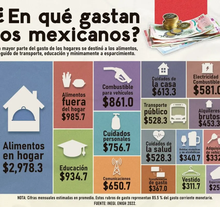 Radiografía de los hogares mexicanos: avances, brechas y hábitos de gasto