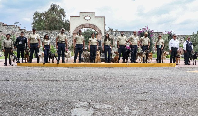 AGRICULTURA gradúa a 14 nuevos binomios caninos para prevenir ...