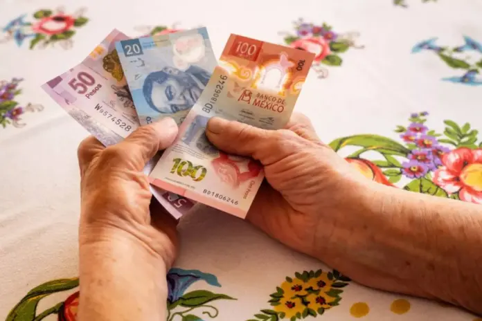 Todo sobre pensiones IMSS 2025: tipos y cómo solicitarlas - INFOPODER