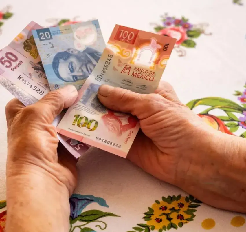 Todo sobre pensiones IMSS 2025: tipos y cómo solicitarlas