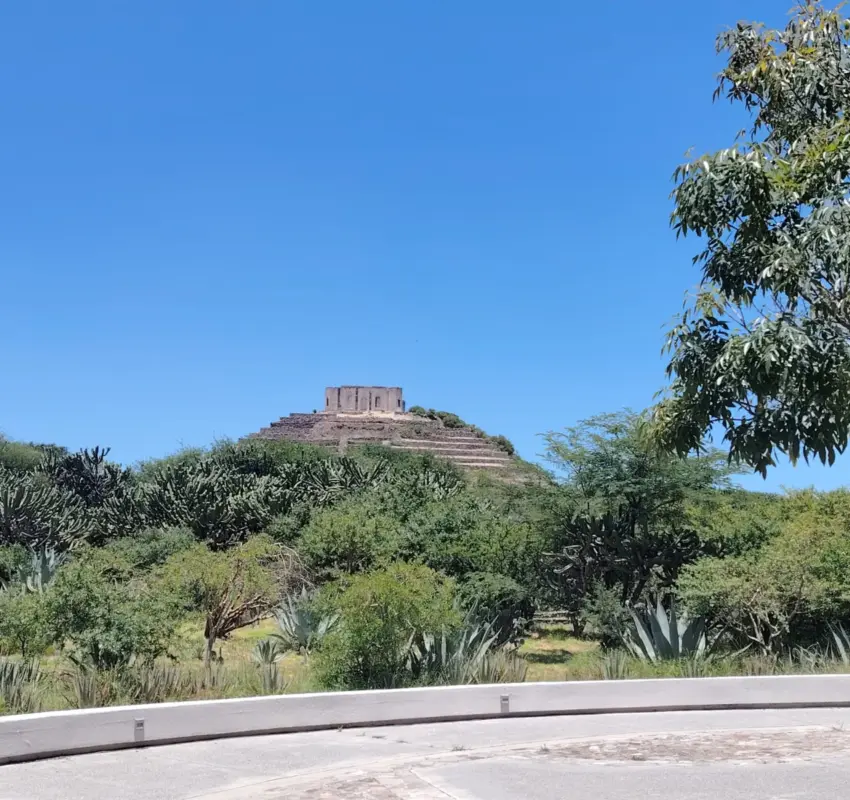 Zona Arqueológica El Cerrito ofrece rallys este verano
