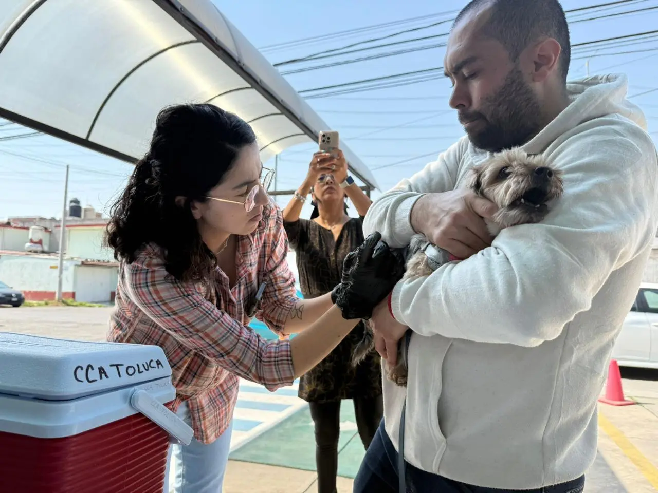 Celebra Toluca la esterilización número 10 mil de lomitos y michis