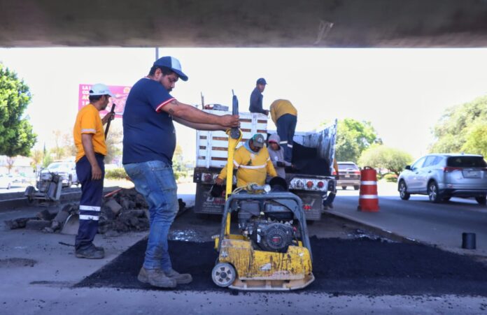 Corregidora pone en acción las “Brigada Antibaches” - Noticias de ...