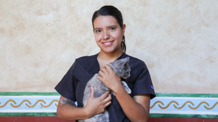 Impulsa Corregidora la campaña “Esteriliza y Protege” - Noticias ...
