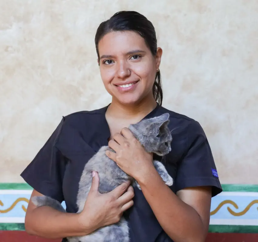 Impulsa Corregidora la campaña “Esteriliza y Protege”
