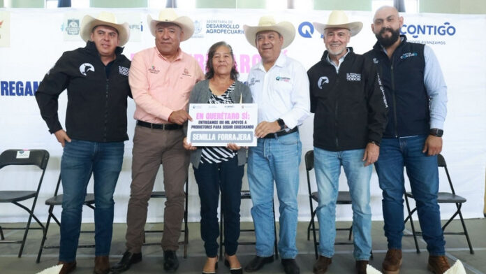 Impulsa SEDEA cultivos forrajeros en Amealco