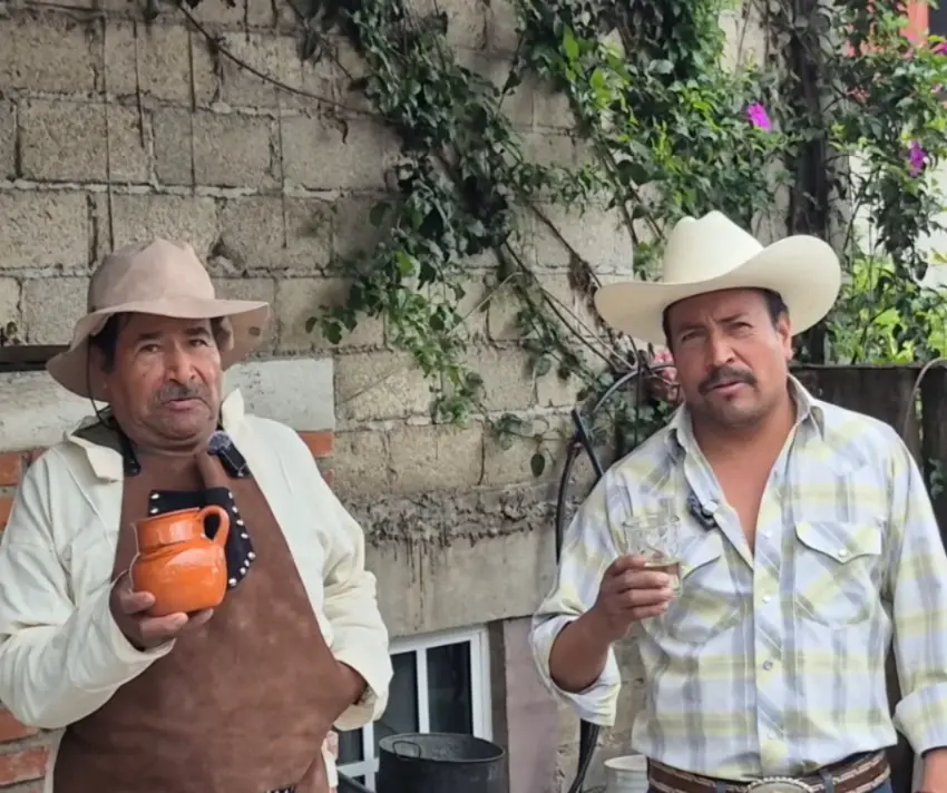 Inaugurarán primera destiladora de maguey en Jiquipilco