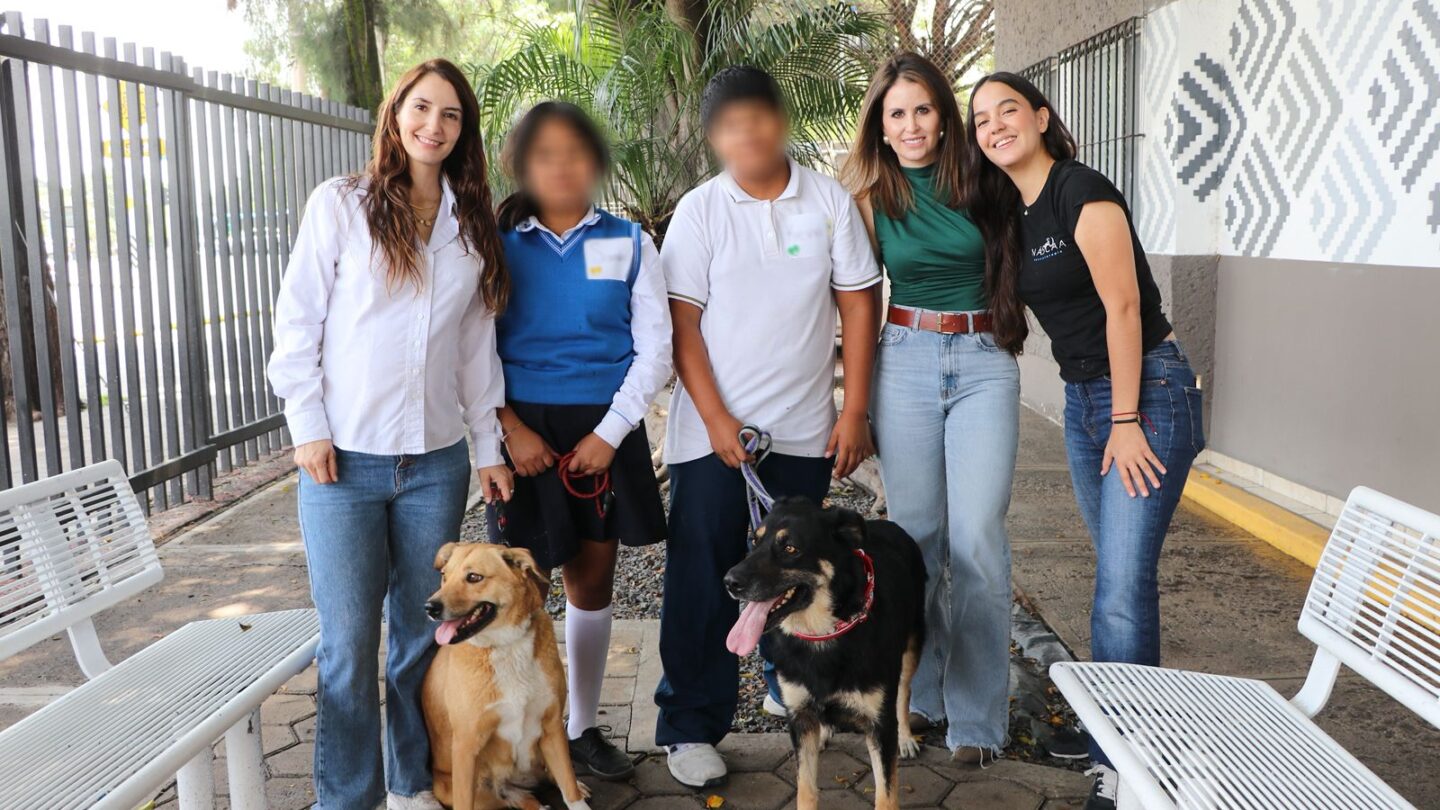 Jóvenes del DIF Municipal entrenarán a perros rescatados