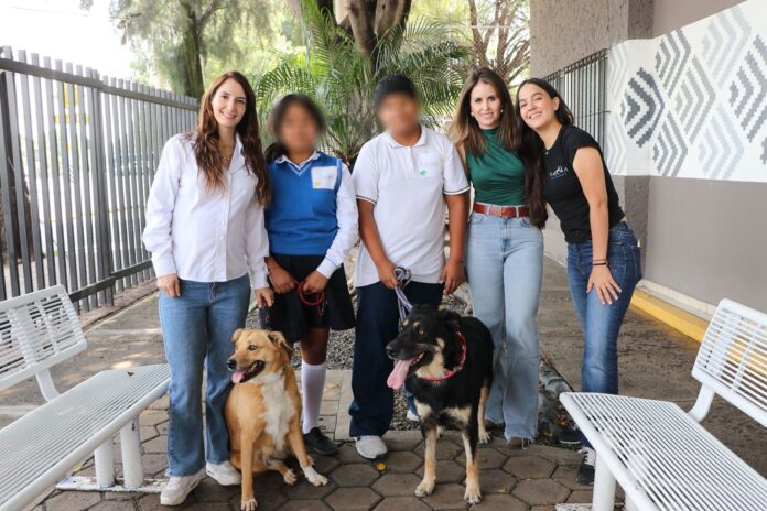 Jóvenes del DIF Municipal entrenarán a perros rescatados ...