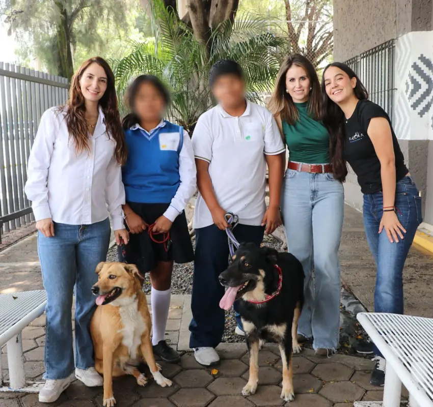 Jóvenes del DIF Municipal entrenarán a perros rescatados