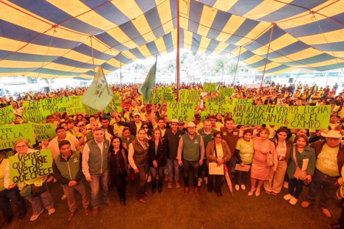 Estatal | PVEM realiza Segunda Asamblea Verde en Sultepec ...