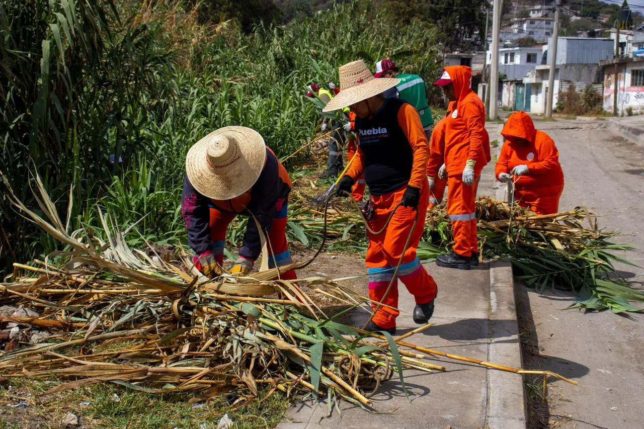 Refuerza capital acciones para la atención de lluvias | Refuerza Gobierno de la Ciudad acciones de prevención ante la