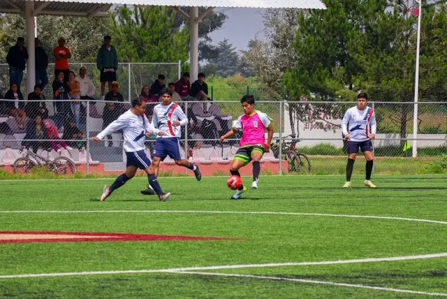 Semifinales del Torneo Metropolitano