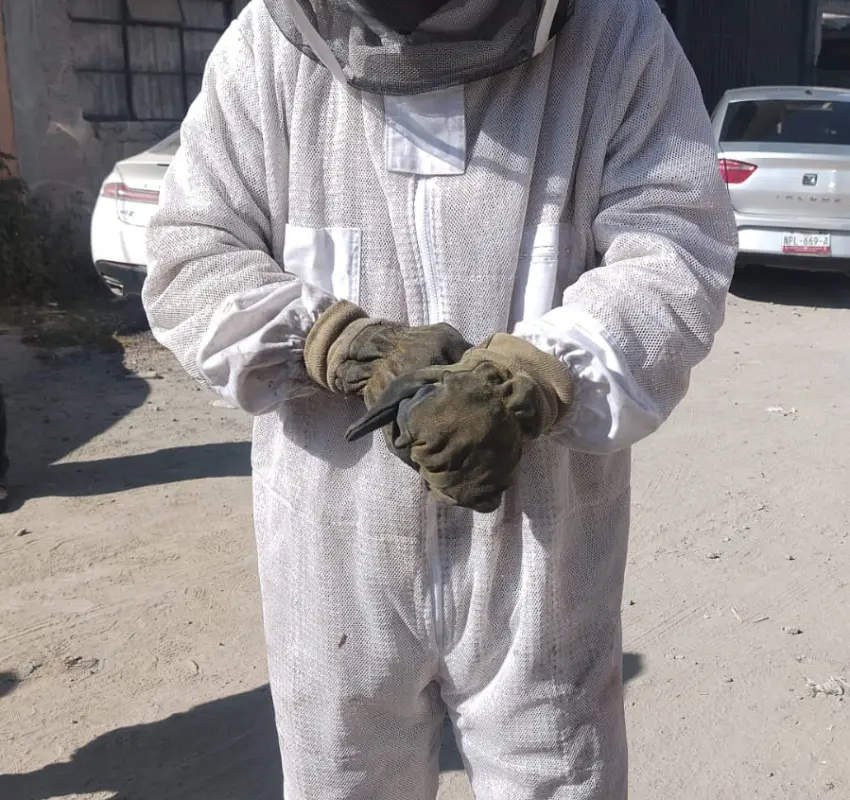 Atendieron a personas por picaduras de abejas en Ecatepec