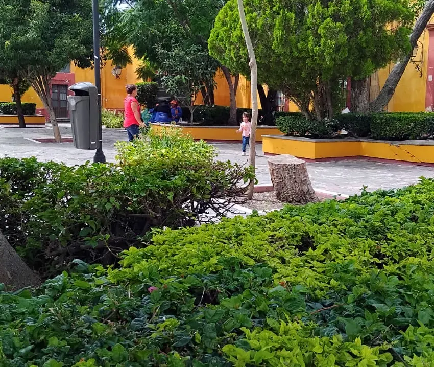 Celebran el 100 aniversario del histórico jardín San Sebastián