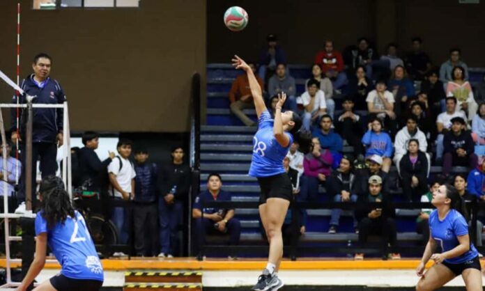 Participa UAQ en sesión de ONU para salvaguardar al deporte de la ...