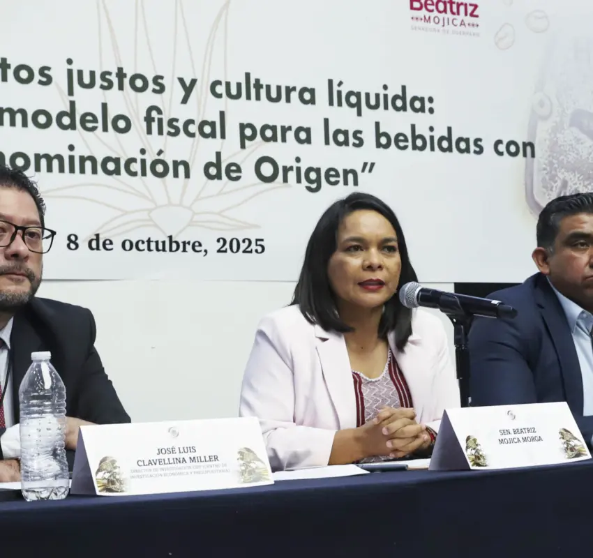 Presentaron senadores propuesta para reformar impuestos a bebidas artesanales