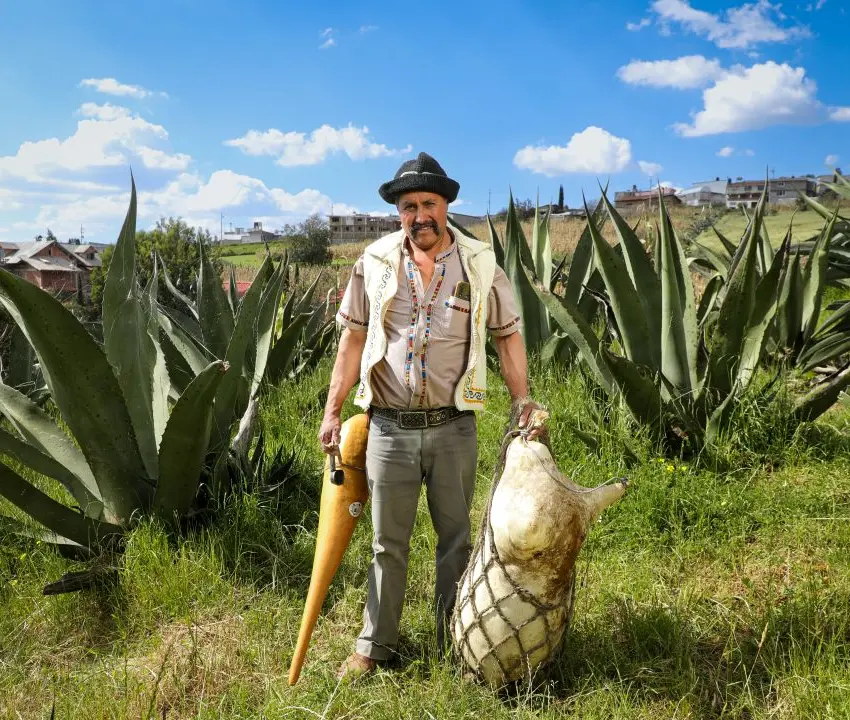 Impulsan comercialización del pulque en Jiquipilco