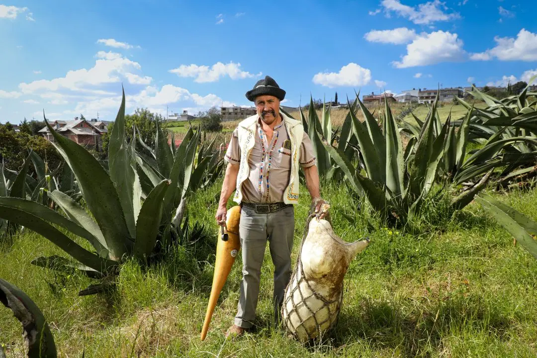Impulsan comercialización del pulque en Jiquipilco   Primero Editores