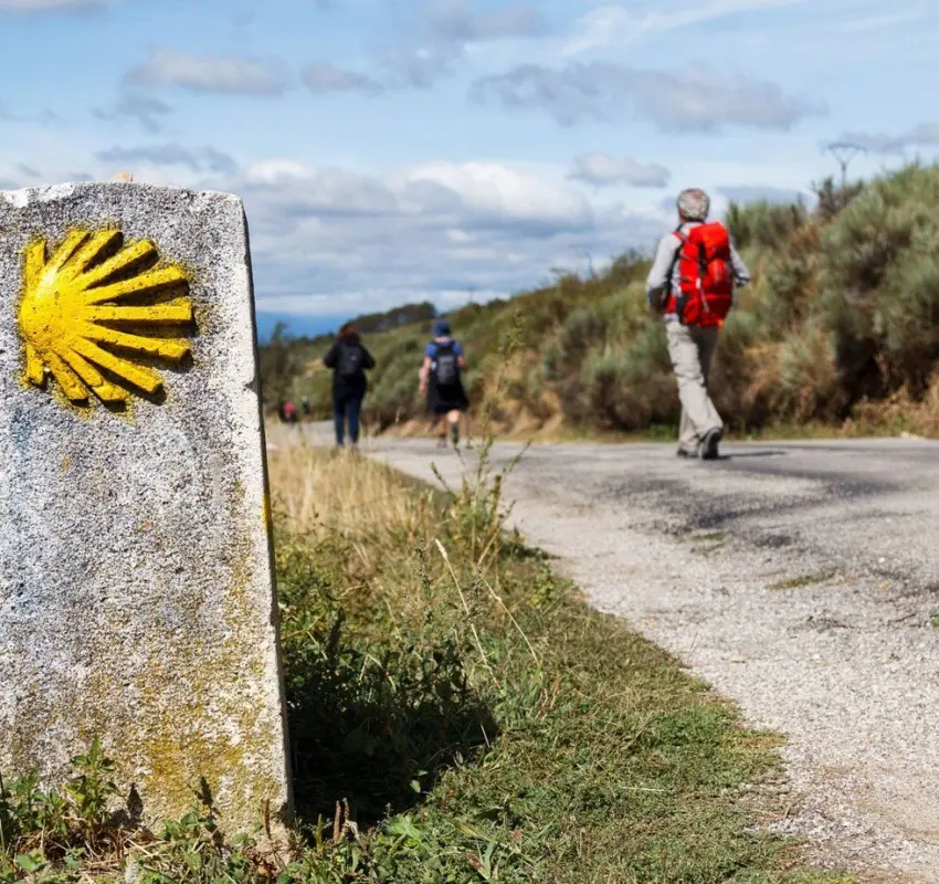 Sobre el camino