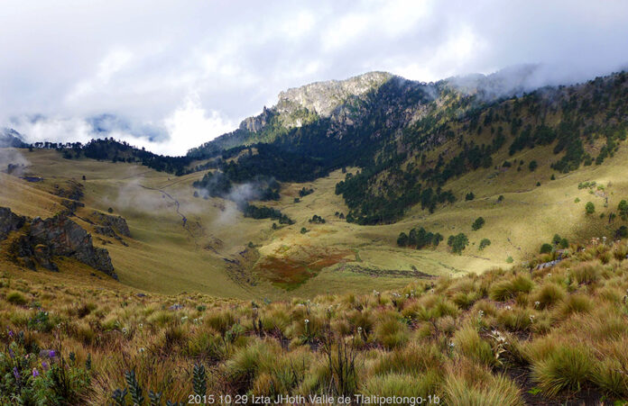 Aportan ecosistemas mexicanos 1.02 BDP: INEGI - Primero Editores