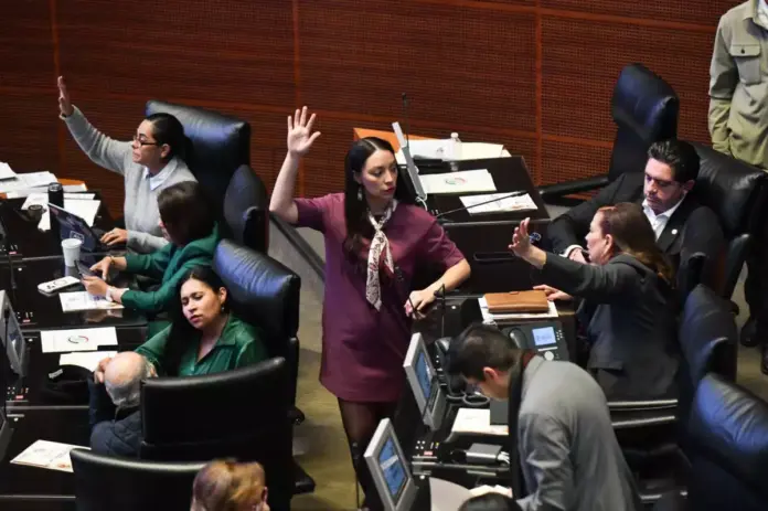 Senado elige a los 10 candidatos a fiscal general de la República ...