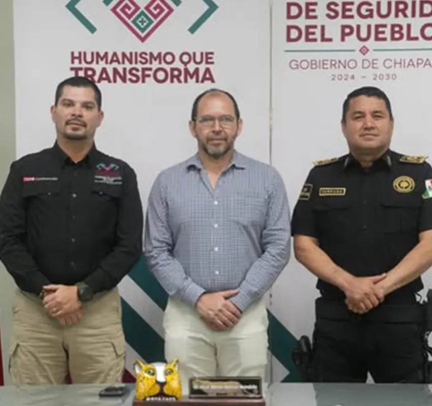 Comentario Zeta