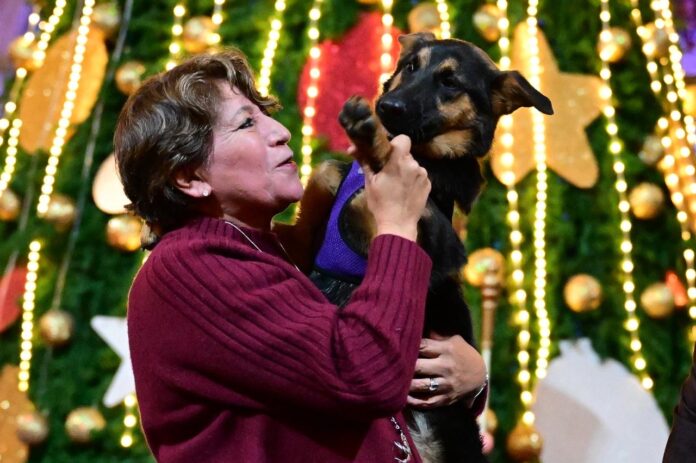 Entregó Delfina Gómez 40 toneladas de alimento para mascotas ...