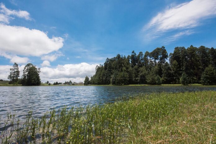 Reformas del PVEM en biodiversidad, alimentación y deporte ...