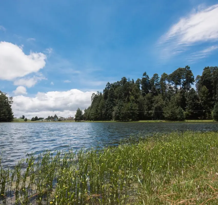 Reformas del PVEM en biodiversidad, alimentación y deporte