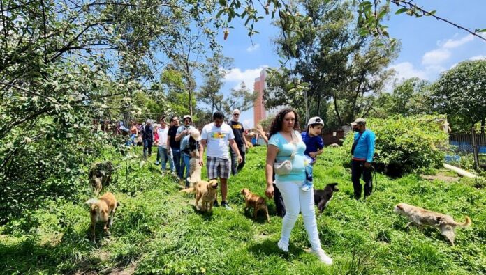Refugio Franciscano denunció ingreso nocturno a sus instalaciones ...