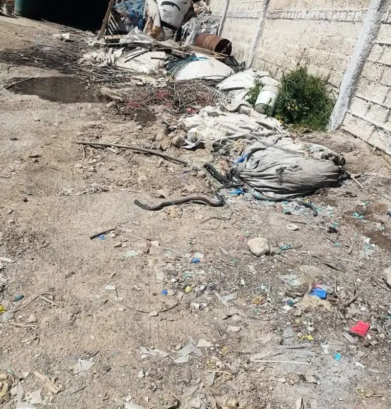 Alertan por basurero ilegal de residuos industriales en Ixtlahuaca