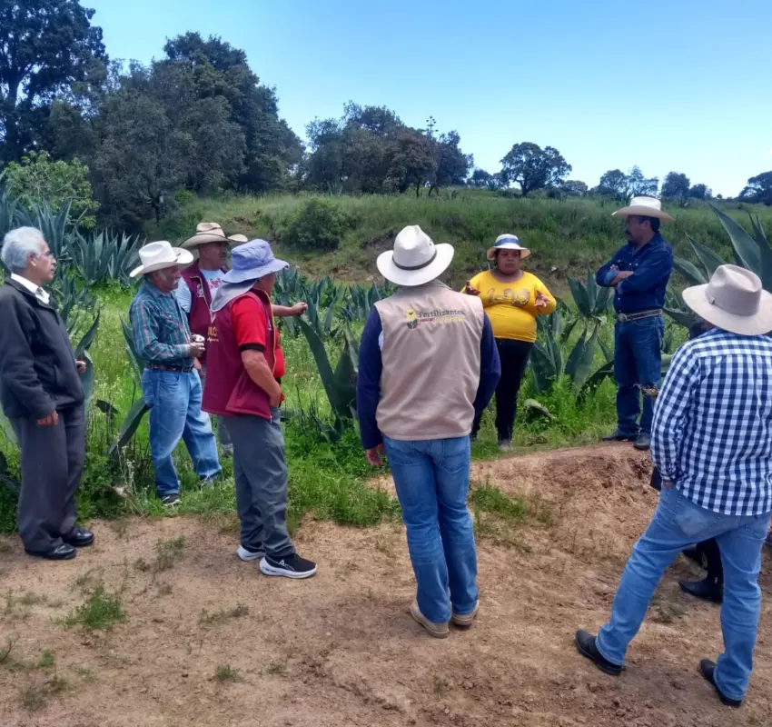Celebrarán Día Nacional del Pulque en Jiquipilco