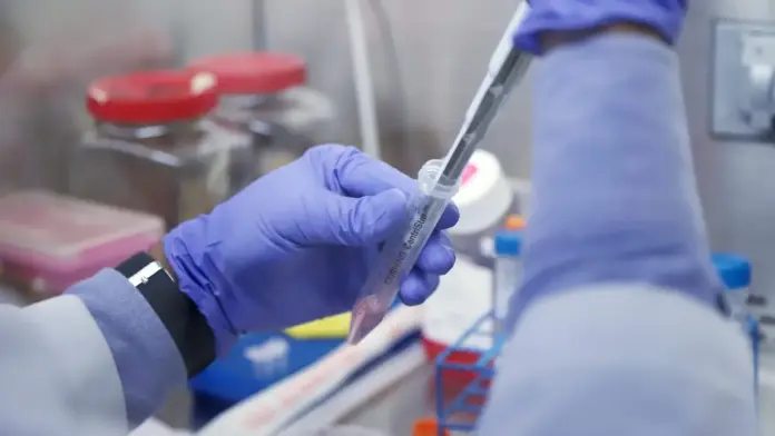 Científicas de la UNAM crean biosensor para prevenir el cáncer ...