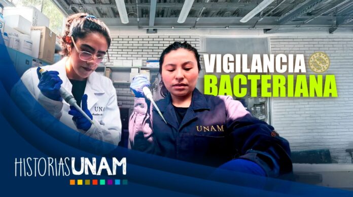 UNAM DESARROLLA SISTEMA DE VIGILANCIA DE BACTERIAS RESISTENTES A ...