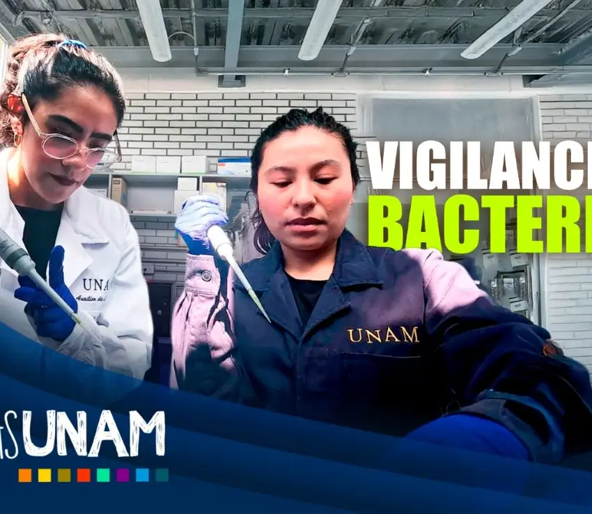 Detectan bacterias resistentes a antibióticos: UNAM