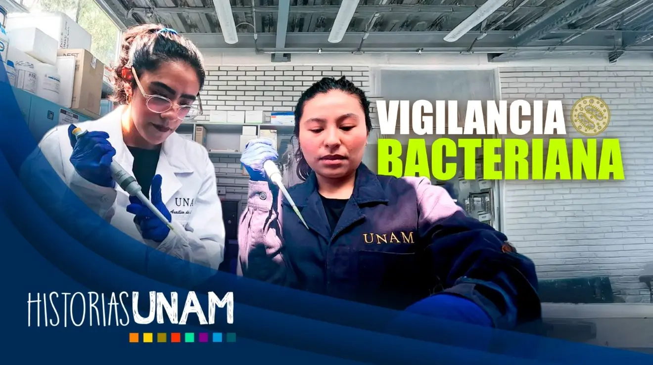 Detectan bacterias resistentes a antibióticos UNAM | UNAM DESARROLLA SISTEMA DE VIGILANCIA DE BACTERIAS RESISTENTES A