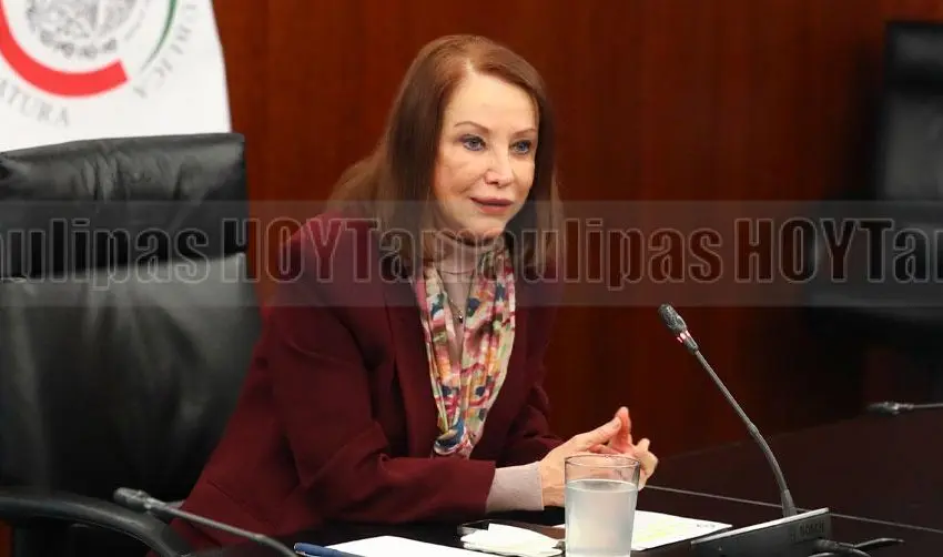 Reforma electoral garantiza autonomía del órgano electoral: Laura Itzel Castillo