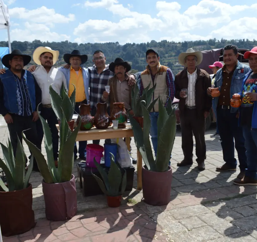 Celebraron Día Nacional del pulque en Jiquipilco