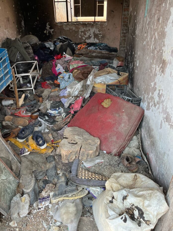 Rescatan a nueve caninos en situación de maltrato en Toluca ...