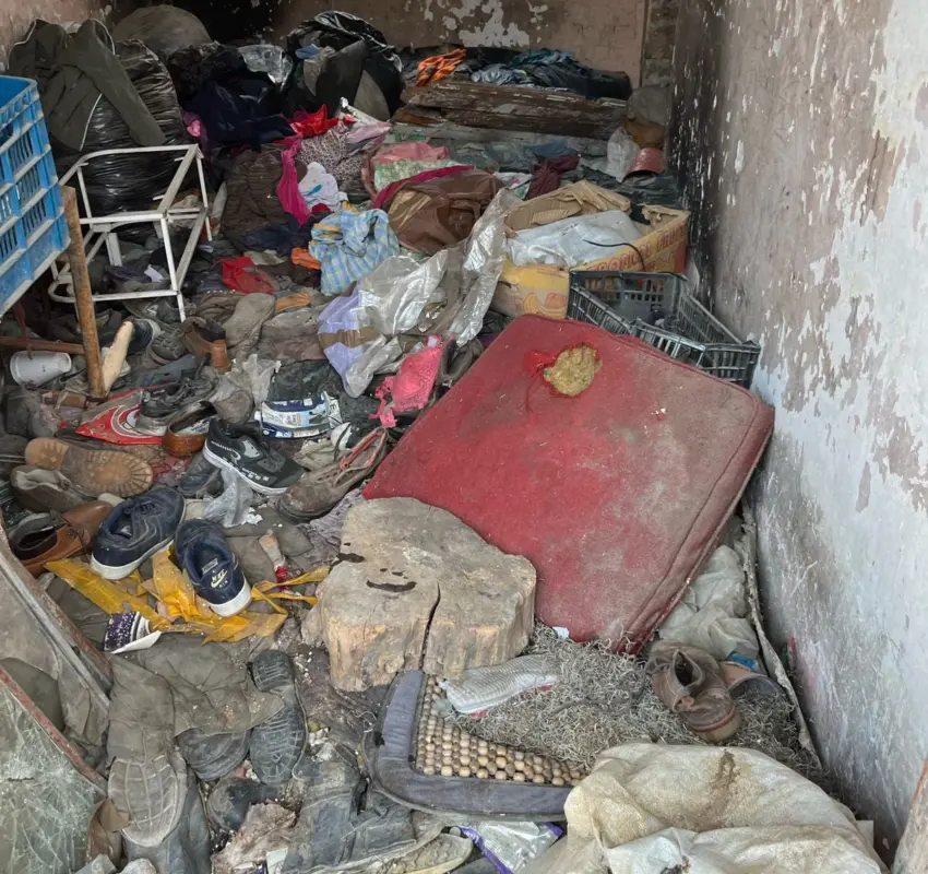 Rescataron a perros maltratados en Toluca