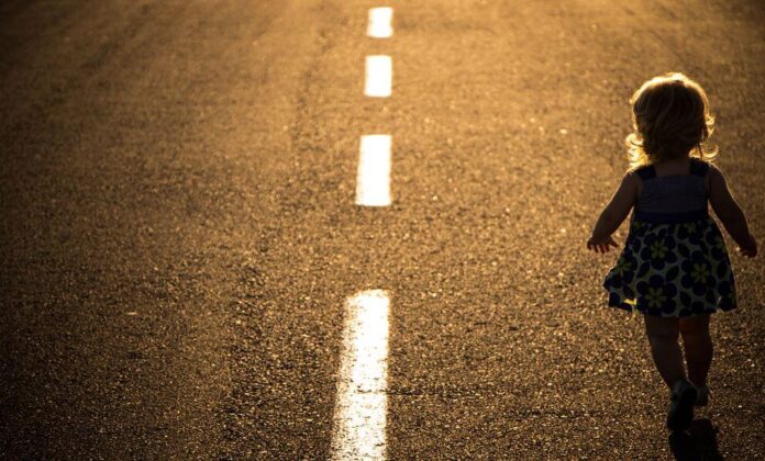 El camino de la vida - La Mente es Maravillosa