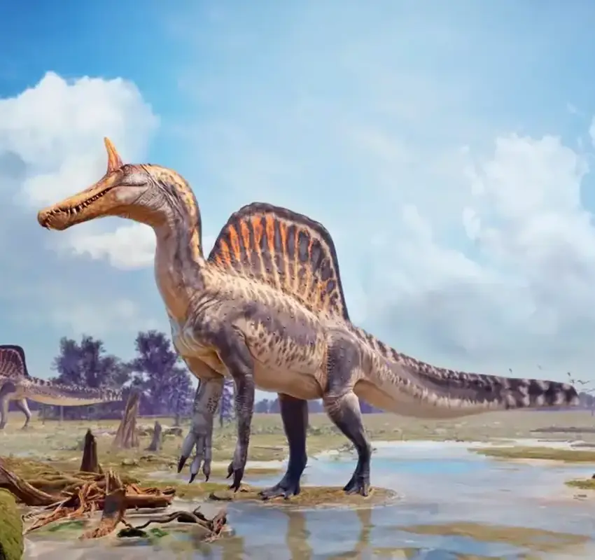 Descubren una nueva especie de dinosaurio por primera vez en más de un siglo: Spinosaurus mirabilis