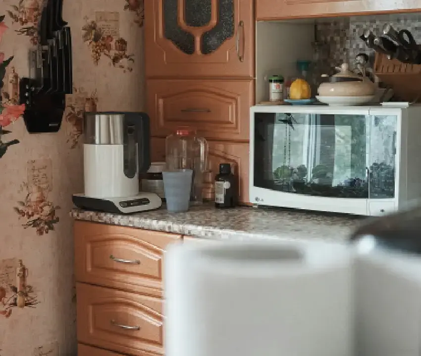 Microondas en casa: mitos y realidades