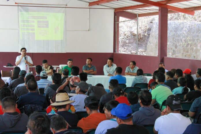 WhatsApp Image 2026-03-18 at 53538 PM