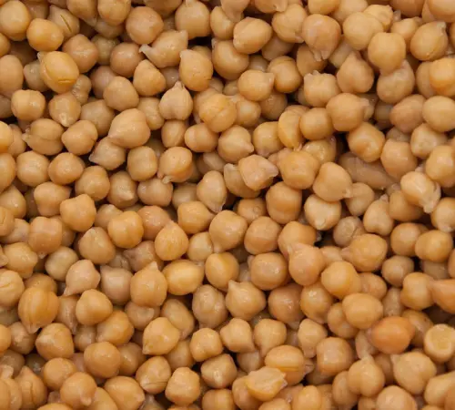 Científicos logran cultivar garbanzos en suelo lunar simulado