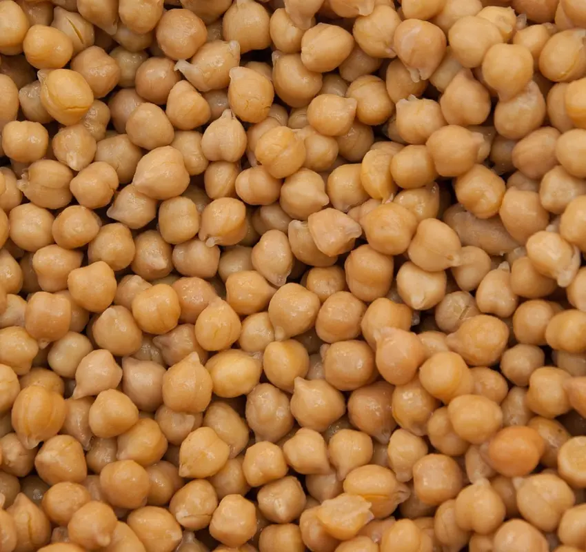 Científicos logran cultivar garbanzos en suelo lunar simulado