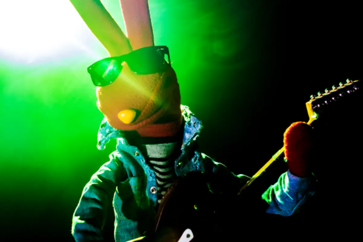 concierto 31 minutos