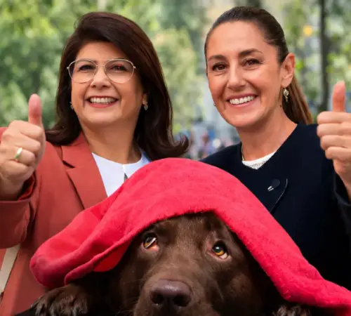Sheinbaum defiende a Mariela Gutiérrez tras sacrificio de perros en Tecámac